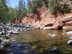 Oak Creek just below Manzanita Campground